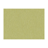 BRUNSCHWIG & FILS - SHOTS- THYME - Fabric by the Yard