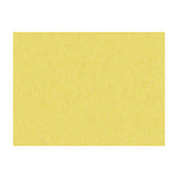 BRUNSCHWIG & FILS - SHOTS- ORO DA FIRENZE - Fabric by the Yard