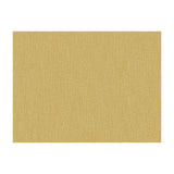 BRUNSCHWIG & FILS - SHOTS- VICUNA - Fabric by the Yard