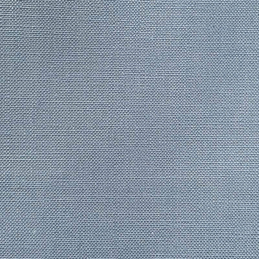 JAGGER BLUEBIRD