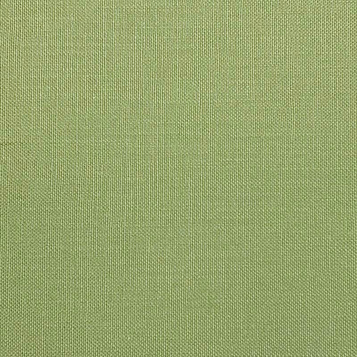 JAGGER ELM