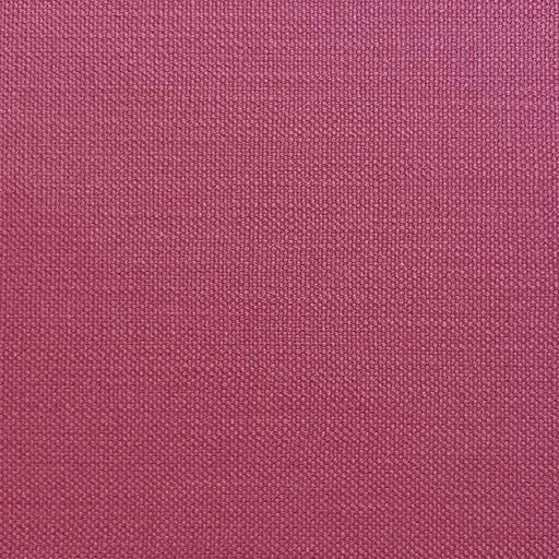 JAGGER PINK