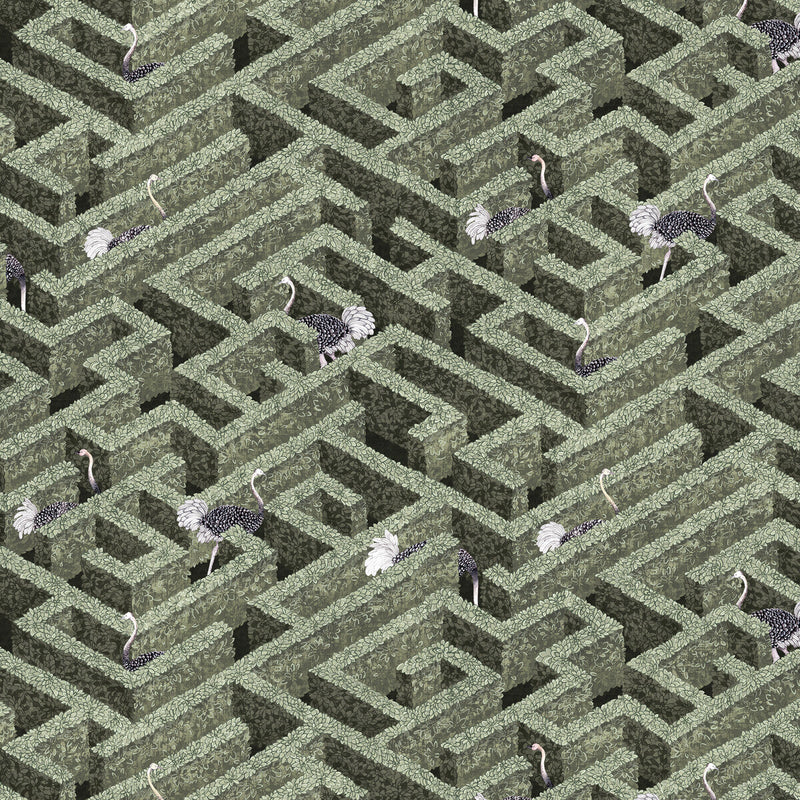 KRAVET COUTURE - LABYRINTH WITH OSTRICHES- 01 - Wallcovering by the Roll 01