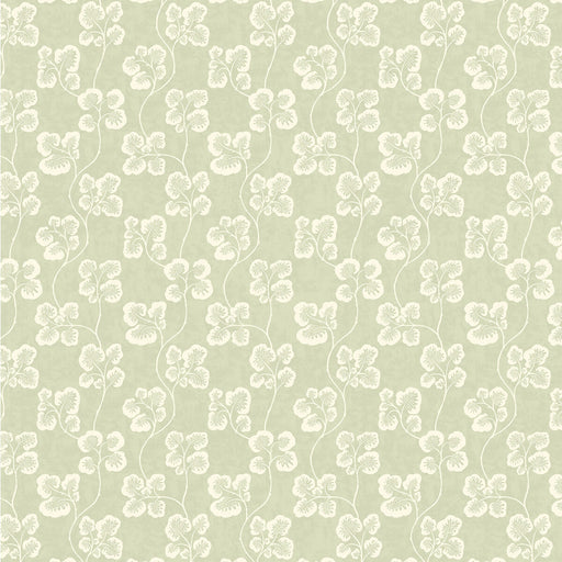 KRAVET COUTURE - CABBAGE CHECK- 31 - Wallcovering by the Roll 31