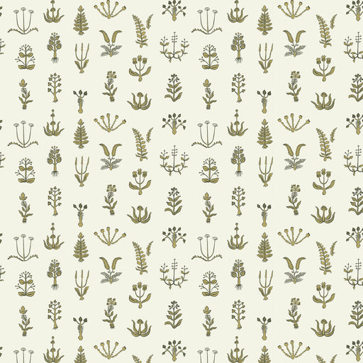 KRAVET COUTURE - FLORAL SPOT- 02 - Wallcovering by the Roll 02