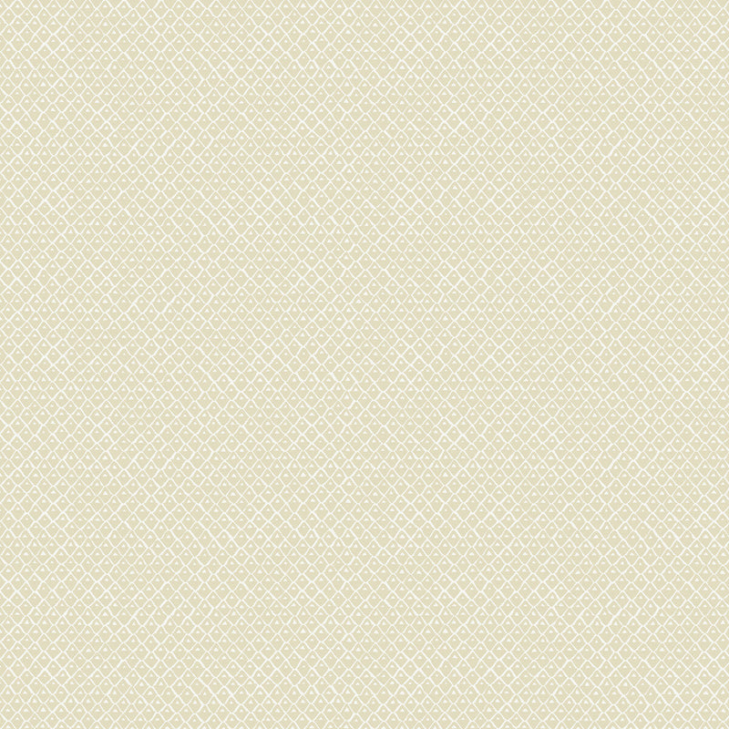 KRAVET COUTURE - PINEAPPLE SQUARES- 02 - Wallcovering by the Roll 02