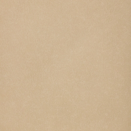 KRAVET DESIGN - KRAVET DESIGN - JUNEAU-16 - Fabric By The YARD