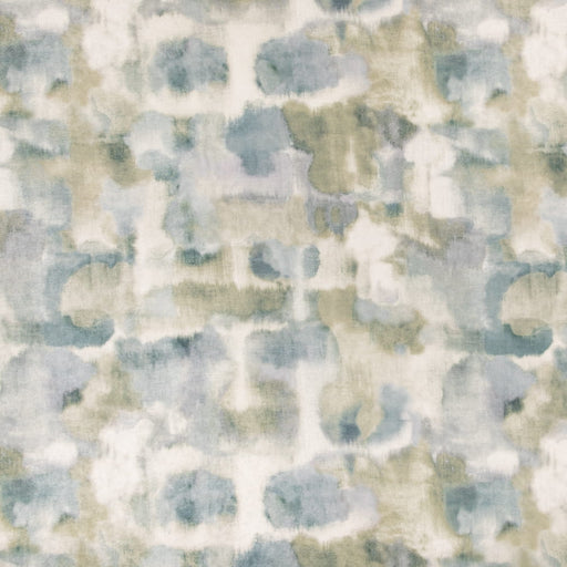 Jasper - Meadow - 29 Park - Fabric by the Yard