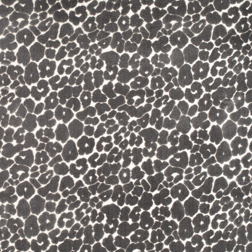 Juno - Greystone - 29 Park - Fabric by the Yard