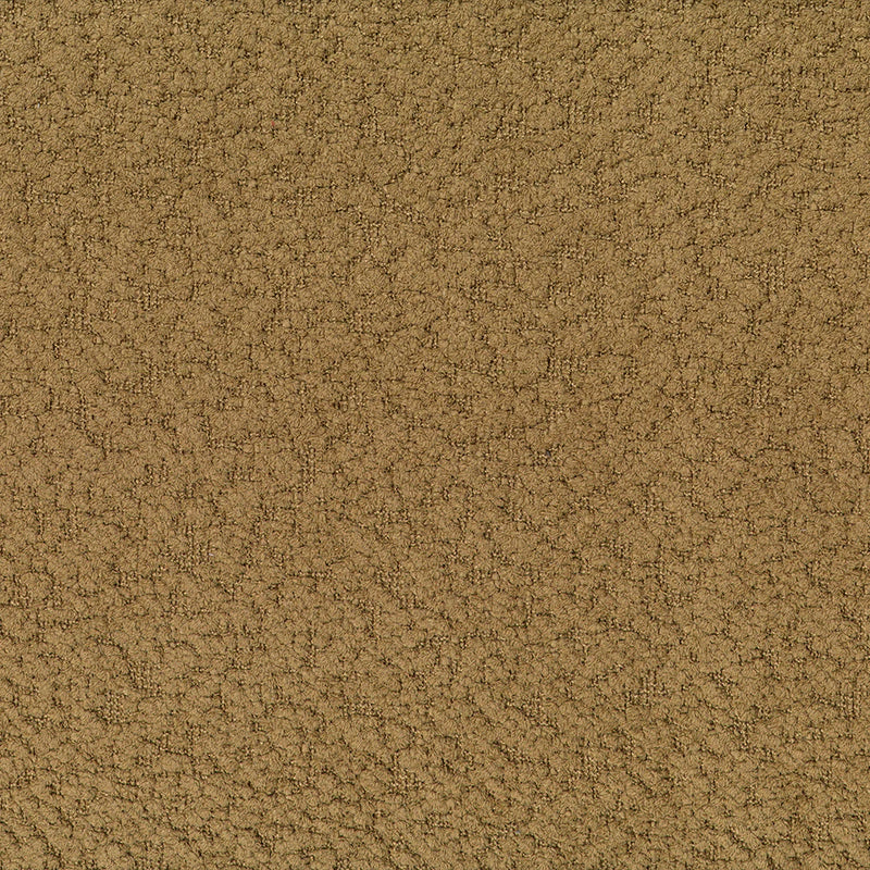 KEMPER CAMEL