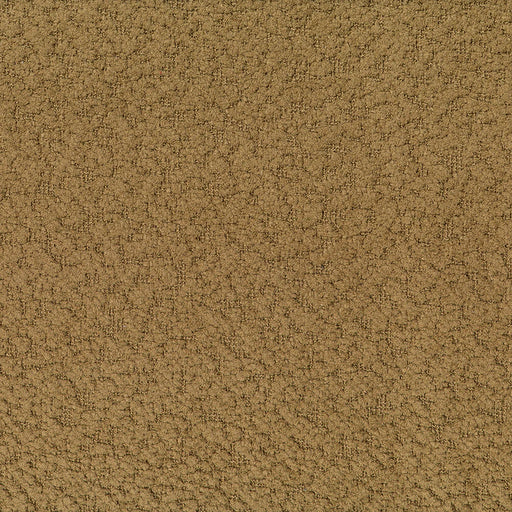 KEMPER CAMEL