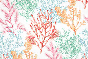 FTS-04889 - Fabric By The Yard - Samples Available by Request - Fabrics and Drapes