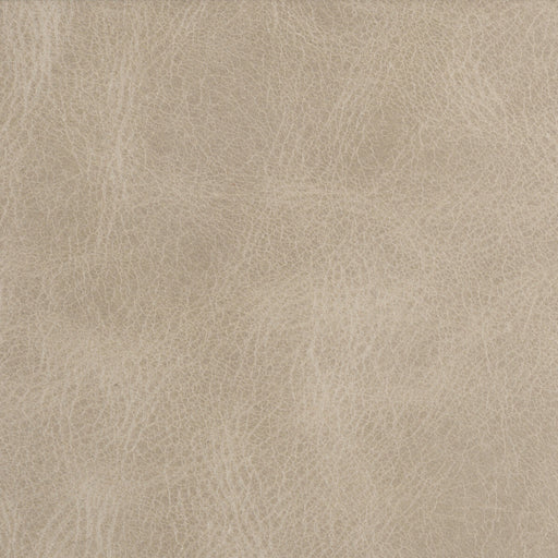 KRAVET COUTURE - BERN- FLAX - Fabric by the SQUARE FOOT FLAX