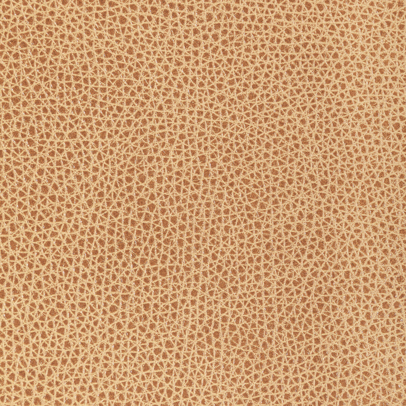 KRAVET DESIGN - KRAVET DESIGN- L-BISON-BISCOTTI - Fabric by the SQUARE FOOT L-BISON-BISCOTTI