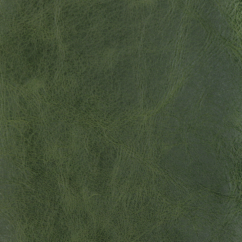 KRAVET DESIGN - L-BRANTLEY- EVERGREEN - Fabric by the SQUARE FOOT EVERGREEN