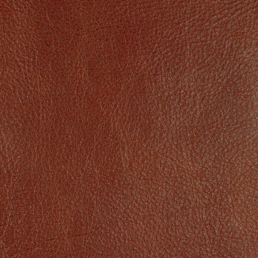 KRAVET DESIGN - L-CANNON - Fabric By the Square Foot