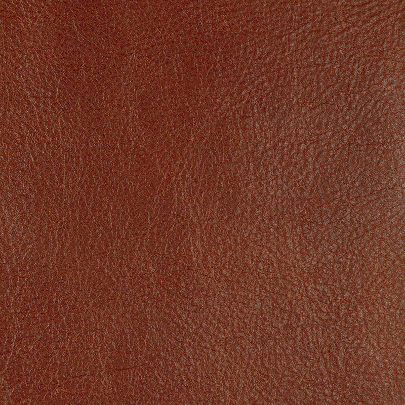 KRAVET DESIGN - KRAVET DESIGN- L-CANNON-SIENNA - Fabric by the SQUARE FOOT L-CANNON-SIENNA