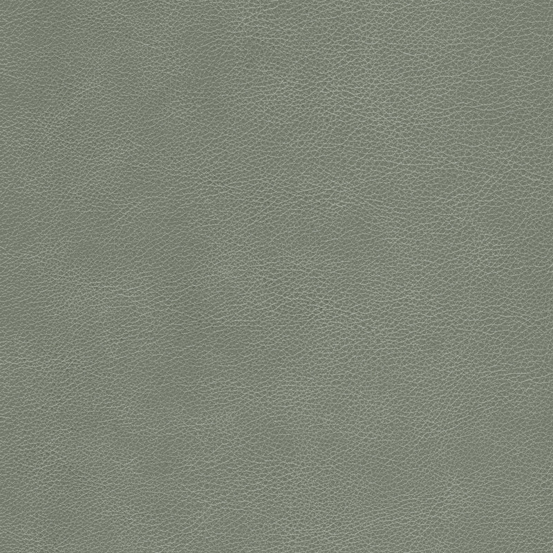 KRAVET DESIGN - KRAVET DESIGN- L-CIMARRON-ELEPHANT - Fabric by the SQUARE FOOT L-CIMARRON-ELEPHANT