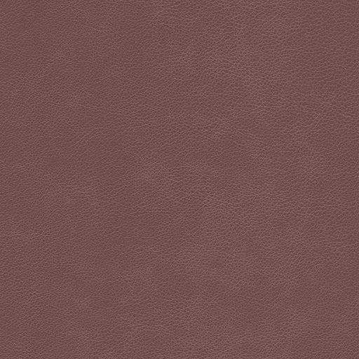 KRAVET DESIGN - L-CIMARRON - Fabric By the Square Foot