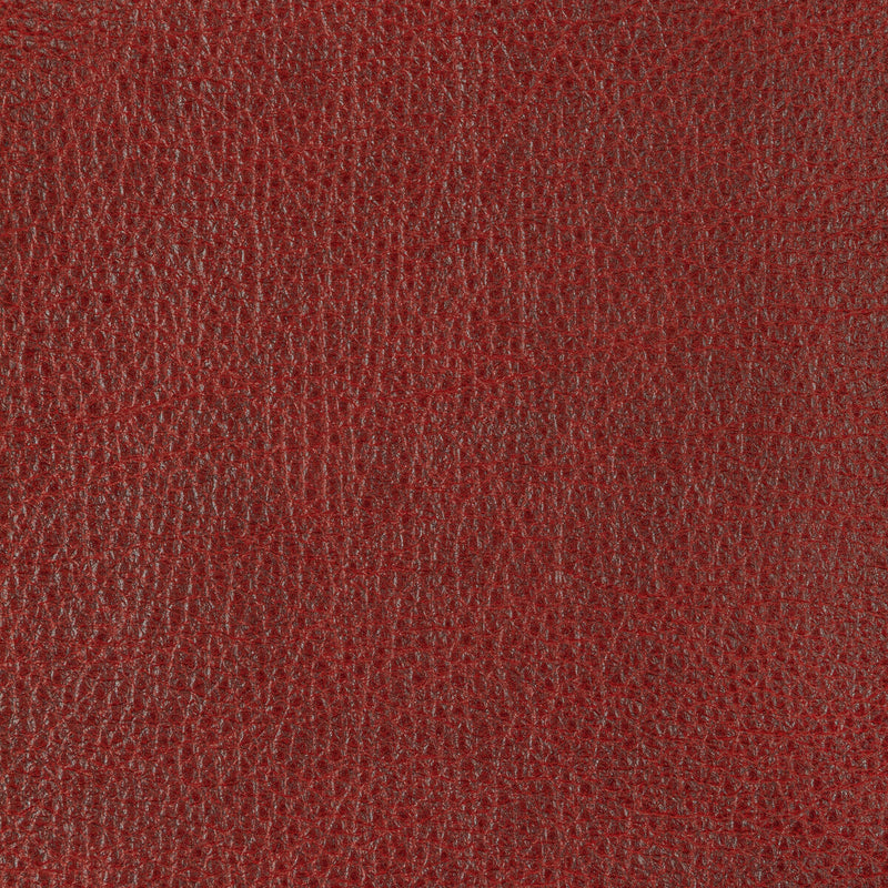 KRAVET DESIGN - L-COIL- CHERRY - Fabric by the SQUARE FOOT CHERRY