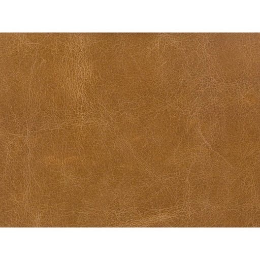 KRAVET COUTURE - KRAVET COUTURE- L-COSMO-BUCK - Fabric by the SQUARE FOOT L-COSMO-BUCK