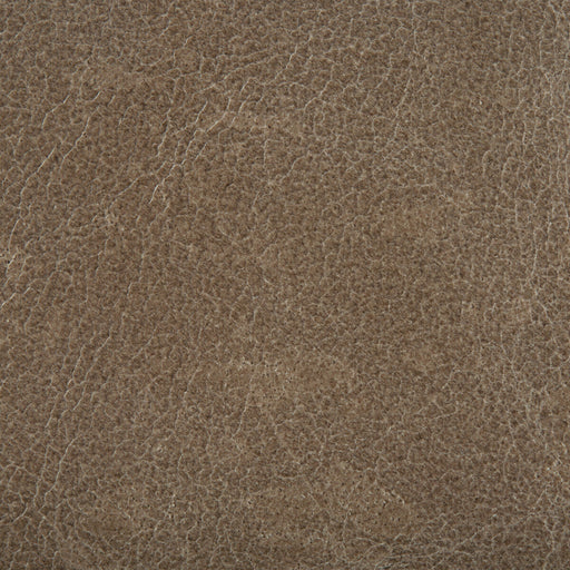 KRAVET COUTURE - KRAVET COUTURE- L-COSMO-CINDER - Fabric by the SQUARE FOOT L-COSMO-CINDER