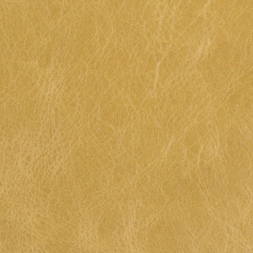 KRAVET COUTURE - KRAVET COUTURE- L-DAVOS-SAP - Fabric by the SQUARE FOOT L-DAVOS-SAP