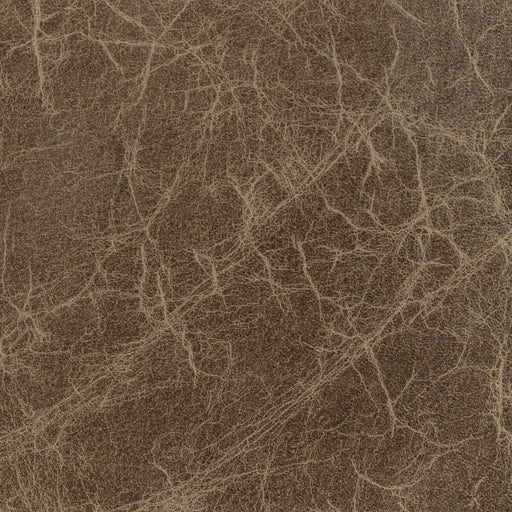 KRAVET DESIGN - L-DE BACA - Fabric By the Square Foot