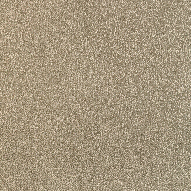 KRAVET DESIGN - KRAVET DESIGN- L-EL RITO-GOLD - Fabric by the SQUARE FOOT L-EL RITO-GOLD
