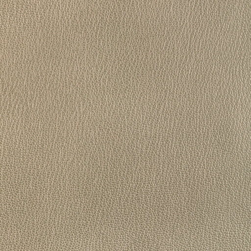 KRAVET DESIGN - L-EL RITO - Fabric By the Square Foot