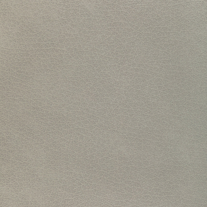KRAVET DESIGN - KRAVET DESIGN- L-EL VADO-STONE - Fabric by the SQUARE FOOT L-EL VADO-STONE