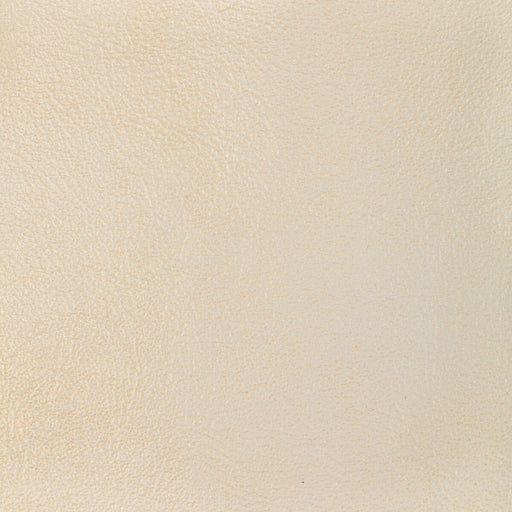 KRAVET DESIGN - L-GLISTEN - Fabric By the Square Foot