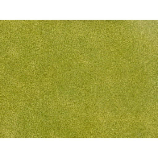 KRAVET COUTURE - KRAVET COUTURE- L-HAUTE-CHARTREUSE - Fabric by the SQUARE FOOT L-HAUTE-CHARTREUSE