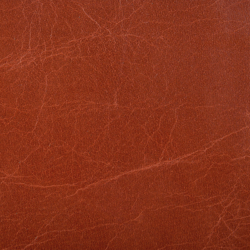 KRAVET COUTURE - KRAVET COUTURE- L-HAUTE-MADDER - Fabric by the SQUARE FOOT L-HAUTE-MADDER