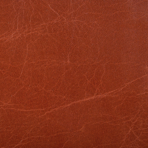 KRAVET COUTURE - KRAVET COUTURE- L-HAUTE-MADDER - Fabric by the SQUARE FOOT L-HAUTE-MADDER