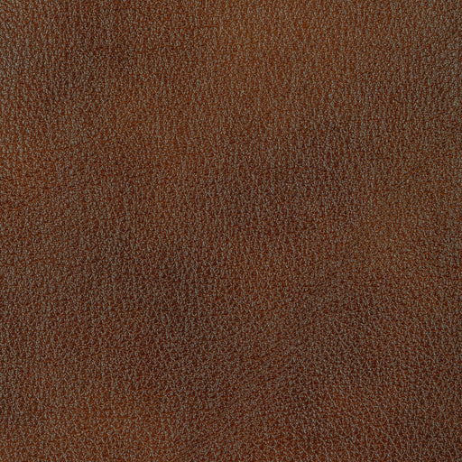 KRAVET DESIGN - L-HOLT - Fabric By the Square Foot