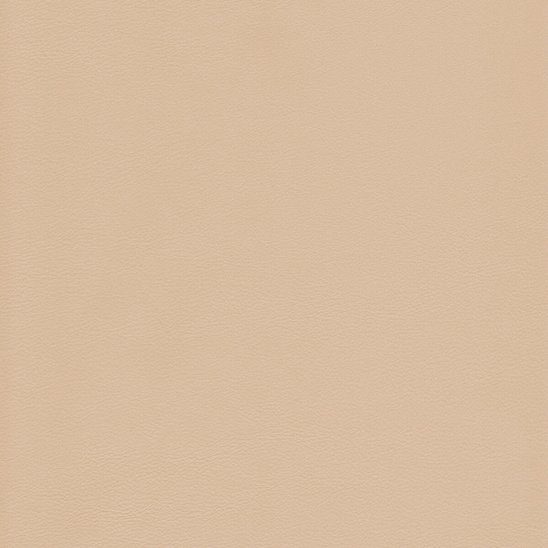 KRAVET DESIGN - KRAVET DESIGN- L-HOWDY-SAND - Fabric by the SQUARE FOOT L-HOWDY-SAND
