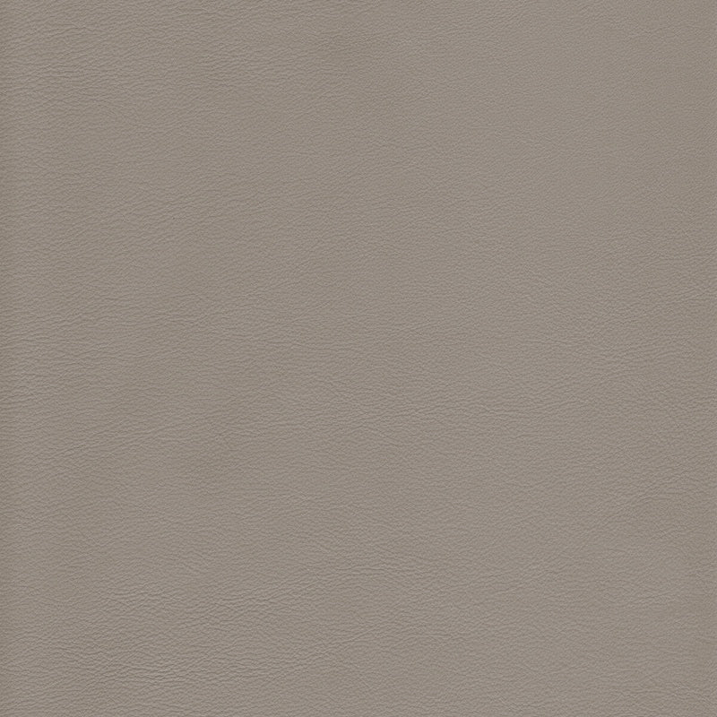 KRAVET DESIGN - KRAVET DESIGN- L-HOWDY-SLATE - Fabric by the SQUARE FOOT L-HOWDY-SLATE