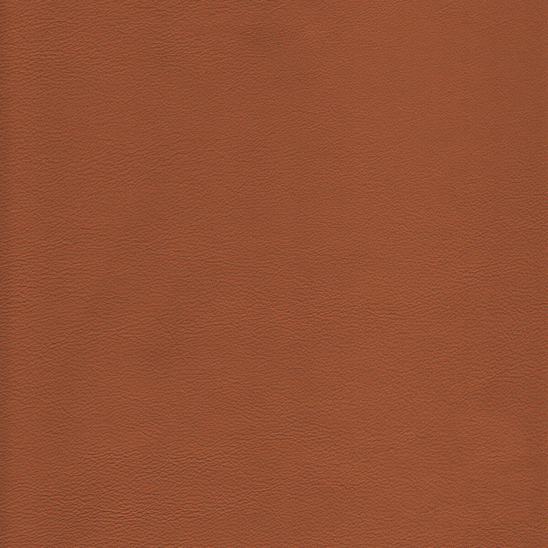 KRAVET DESIGN - KRAVET DESIGN- L-HOWDY-TOFFEE - Fabric by the SQUARE FOOT L-HOWDY-TOFFEE
