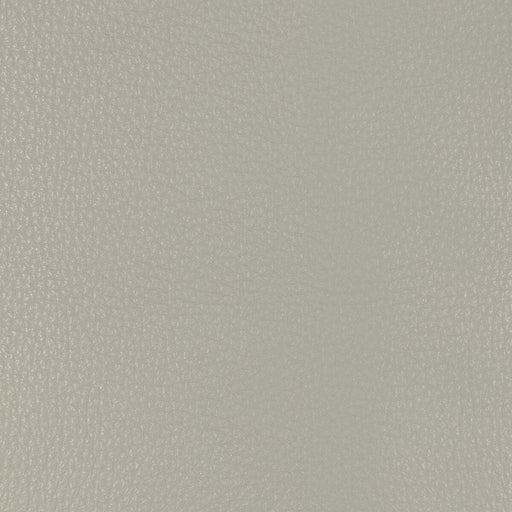 KRAVET DESIGN - L-MALPAIS - Fabric By the Square Foot