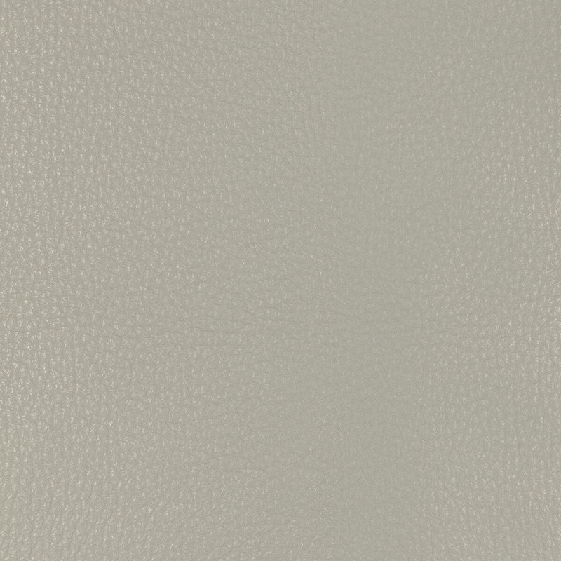 KRAVET DESIGN - KRAVET DESIGN- L-MALPAIS-STONE - Fabric by the SQUARE FOOT L-MALPAIS-STONE