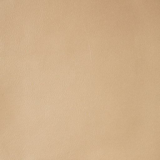 KRAVET DESIGN - L-NAMIB - Fabric By the Square Foot