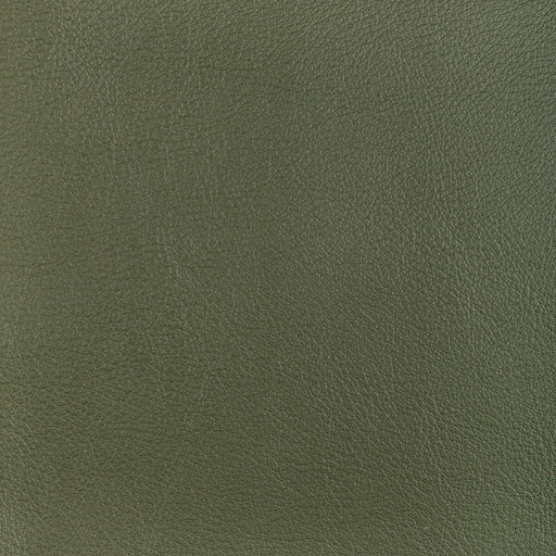 KRAVET DESIGN - L-OCOTILLO - Fabric By the Square Foot