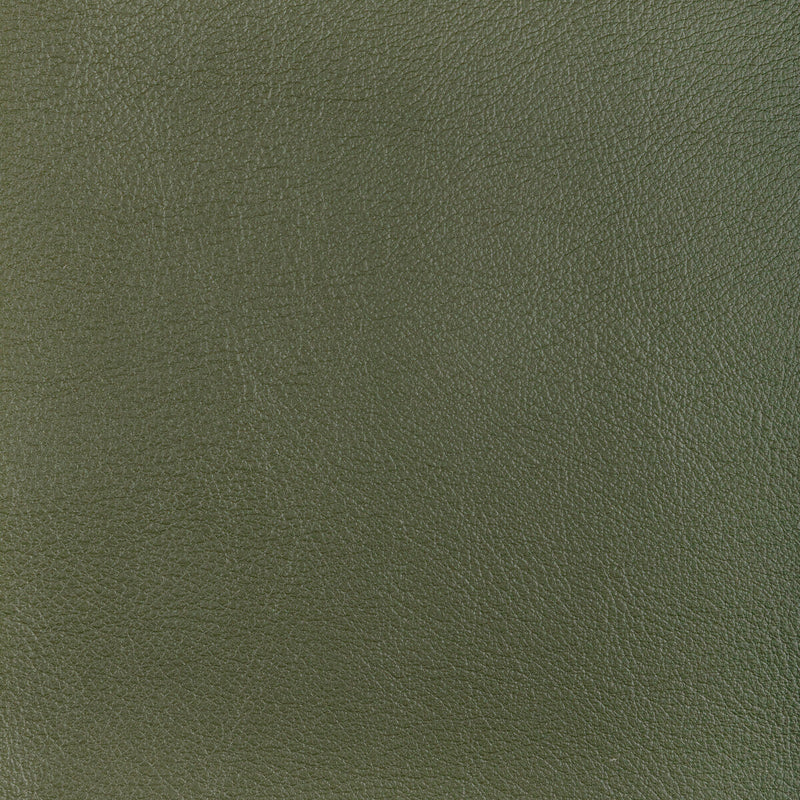 KRAVET DESIGN - KRAVET DESIGN- L-OCOTILLO-HUNTER - Fabric by the SQUARE FOOT L-OCOTILLO-HUNTER
