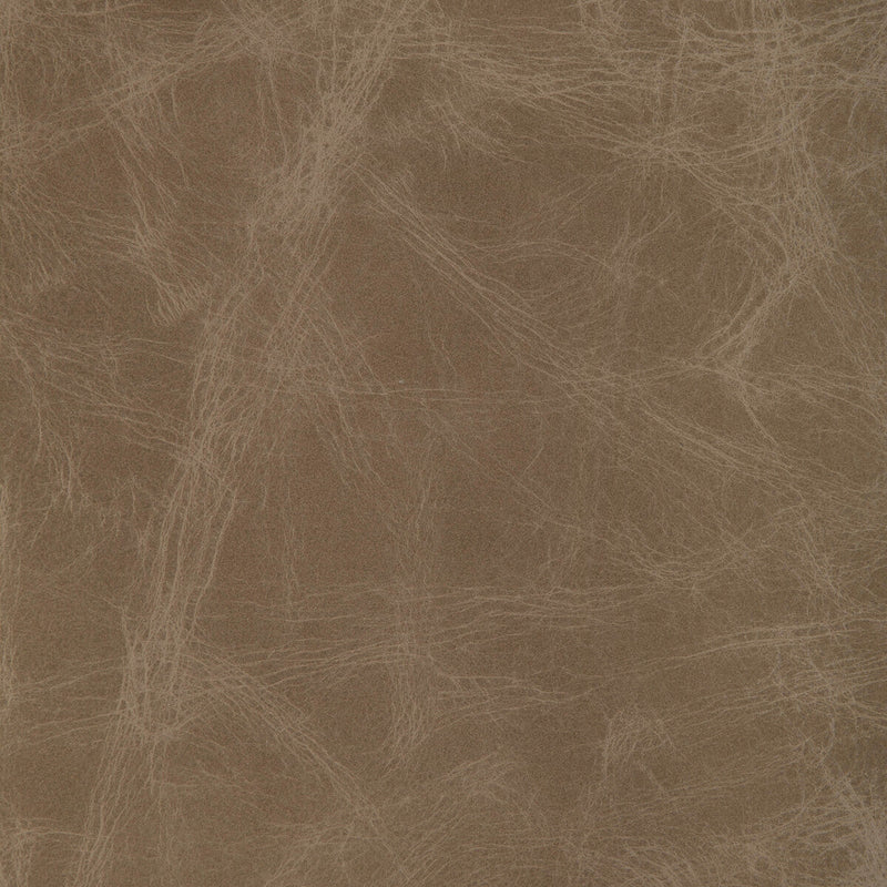 KRAVET DESIGN - L-OVINE- FAWN - Fabric by the SQUARE FOOT FAWN