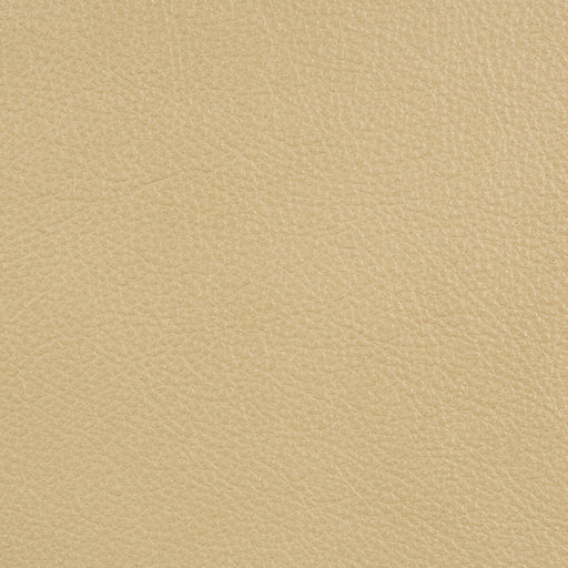 KRAVET DESIGN - L-PORTOFIN - Fabric By the Square Foot