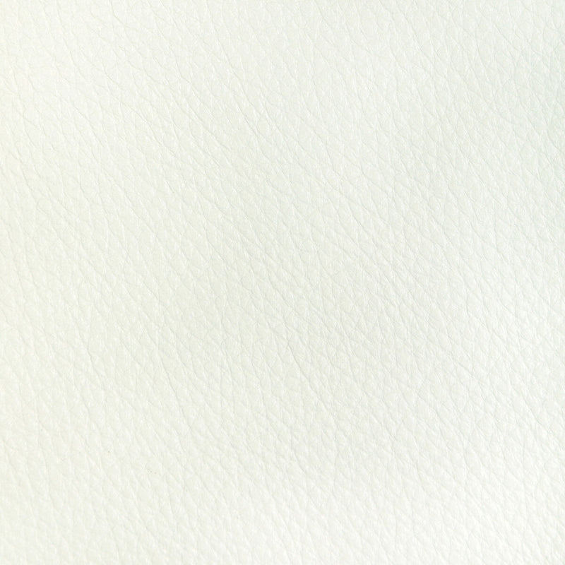 KRAVET DESIGN - KRAVET DESIGN- L-REATA-SNOW - Fabric by the SQUARE FOOT L-REATA-SNOW
