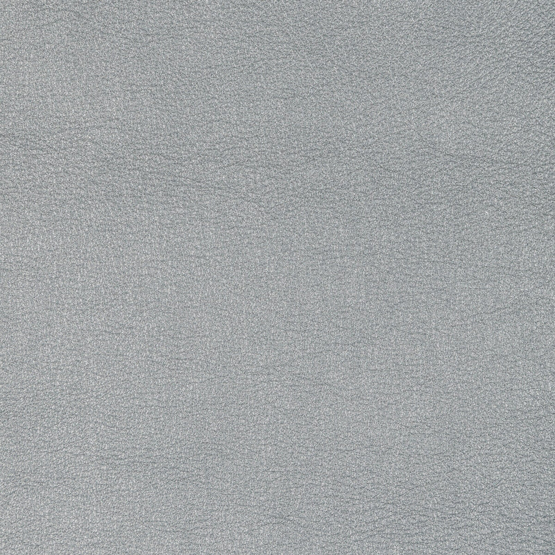 KRAVET DESIGN - KRAVET DESIGN- L-SIERRA-PLATINUM - Fabric by the SQUARE FOOT L-SIERRA-PLATINUM