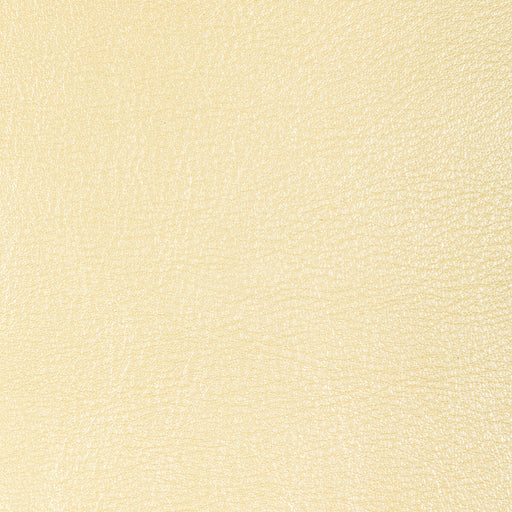 KRAVET DESIGN - L-SIERRA - Fabric By the Square Foot