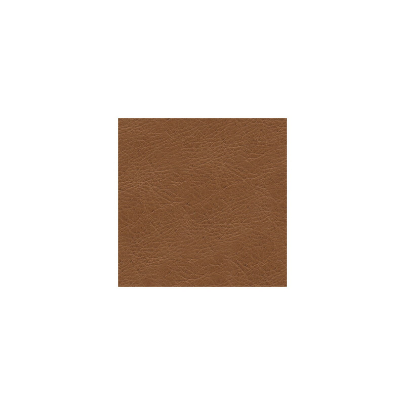 KRAVET DESIGN - KRAVET DESIGN- L-TIMELESS-DESERT - Fabric by the SQUARE FOOT L-TIMELESS-DESERT